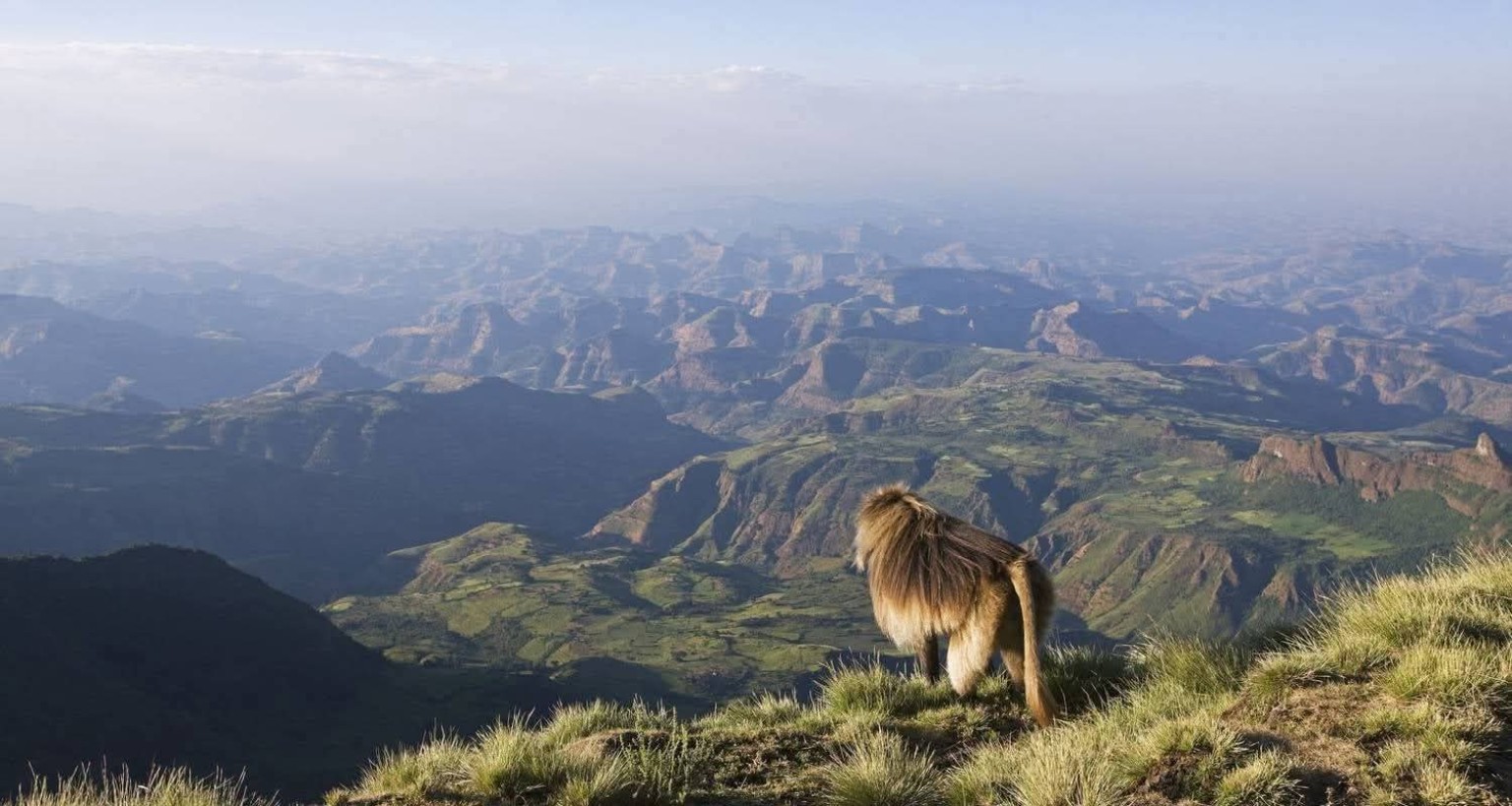 Ethiopia travel photo 1000120286.jpg