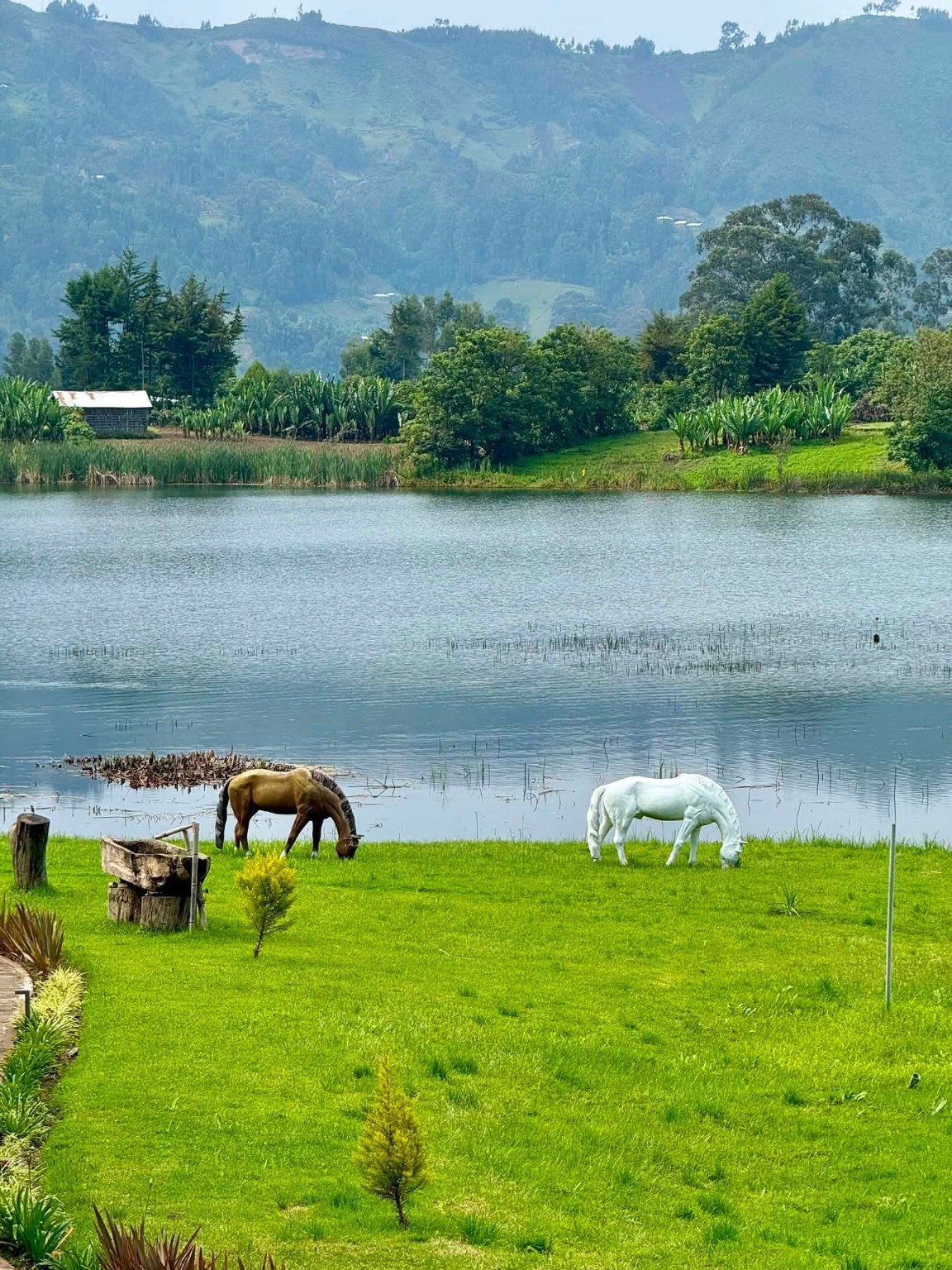 Ethiopia travel photo 1000120292.jpg